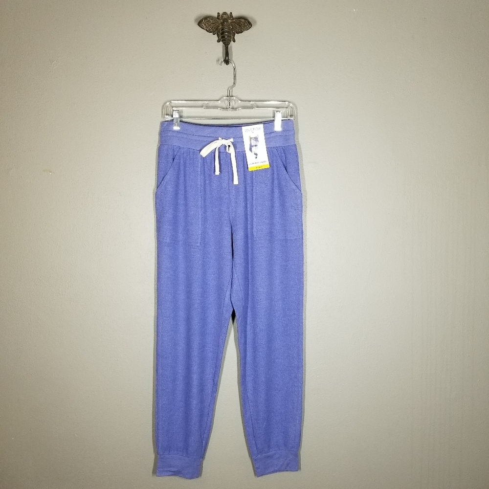 Wildfox | NWT Everyday Cozy Wedgewood Blue Joggers - Picture 2 of 9